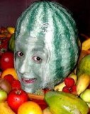 melonhead